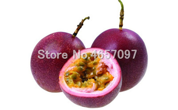 100piece Organic Passion Fruit Seeds Nutritious Passiflora Edulis For Indoor And Outdoor Cultivation - 3