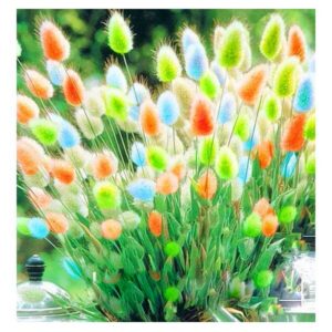 Ornamental Grasses Bonsai 100 Pcs Bunny Rabbit Tails Grass Plants Lawn Diy Home Garden Plant Seeds