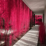 Hot 200 Pcs Blue Pearl Chlorophytum Bonsai Office Desktop Flowers Succulents Anti-radiation Potted Plants Purify The Air Seeds - 4 Hot 200 Pcs Blue Pearl Chlorophytum Bonsai Office Desktop Flowers Succulents Anti-radiation Potted Plants Purify The Air Seeds - 4