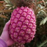 100 Pcs Fruits And Vegetables Flores Pineapple Plantas Sweet Juicy Fruit Exotic Bonsai Potted Plant Decoration Home Garden Seeds - 6