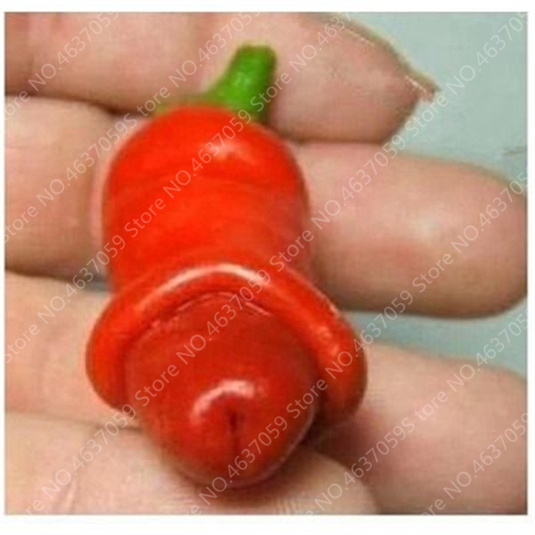 500 Pcs Organic Giant Sweet Pepper Seeds Outdoor Chili Vegetable Cultivation Diy Family Farming Paprika Chile Seedlings - 5