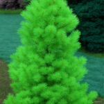 30 Pcs Yellow Spruce Trees Bonsai Blue Plant Picea Pungens Bonsais Evergreen Ornamental Potted Tree Home Garden Seeds - 6