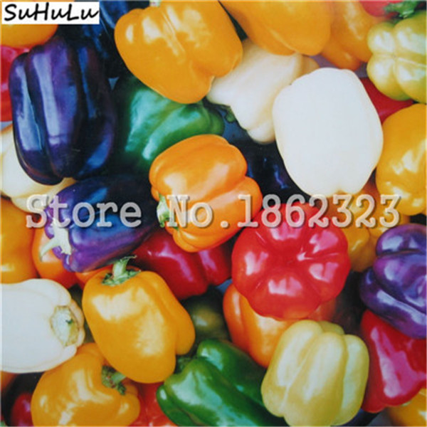 200 Pcs Organic Carolina Reaper Hot Chili Rainbow Bell Ghost Pepper Vegetable Seeds - 7