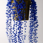 150 Pcs Rainbow Pearl Chlorophytum Bonsai Beads Garden Succulentas Absorb Formaldehyde Air Purification Potted Indoor Plant Seeds - 5 150 Pcs Rainbow Pearl Chlorophytum Bonsai Beads Garden Succulentas Absorb Formaldehyde Air Purification Potted Indoor Plant Seeds - 5