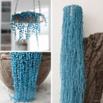 150 Pcs Rainbow Pearl Chlorophytum Bonsai Beads Garden Succulentas Absorb Formaldehyde Air Purification Potted Indoor Plant Seeds - 3 150 Pcs Rainbow Pearl Chlorophytum Bonsai Beads Garden Succulentas Absorb Formaldehyde Air Purification Potted Indoor Plant Seeds - 3