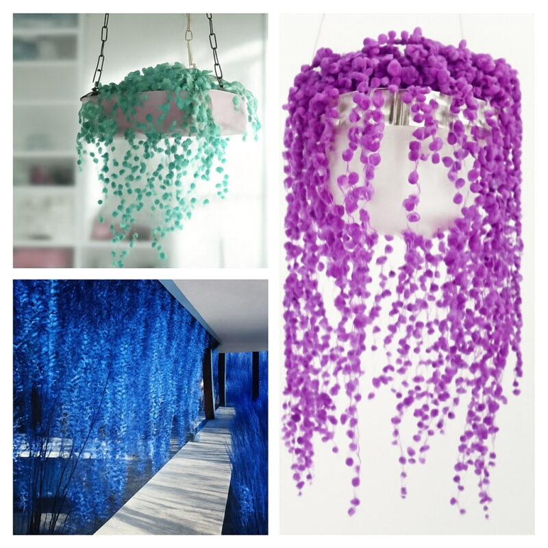 150 Pcs Rainbow Pearl Chlorophytum Bonsai Beads Garden Succulentas Absorb Formaldehyde Air Purification Potted Indoor Plant Seeds