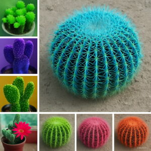 Selling 100 Pcs Cactus Bonsai Mixed Living Stones Succulent Flowers Organic Garden Perennial Herb Indoor Seeds