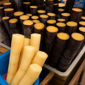 100 Pcs Vietnam Sugar Cane Plantas Succulent Fruit Tree Bonsai Herb Plant Home Garden Medicinal Flores Seeds - 2