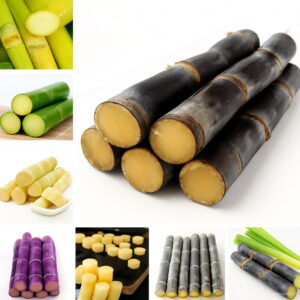 100 Pcs Vietnam Sugar Cane Plantas Succulent Fruit Tree Bonsai Herb Plant Home Garden Medicinal Flores Seeds