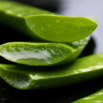 100 Pcs Aloe Vera Plant Beauty Cosmetic Bonsai Plants Home & Garden Vegetables And Fruit Succulent Flower Seeds - 5 100 Pcs Aloe Vera Plant Beauty Cosmetic Bonsai Plants Home & Garden Vegetables And Fruit Succulent Flower Seeds - 5