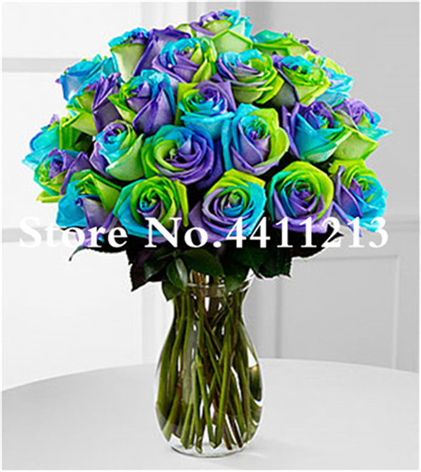 100 Pcs Exotic Chinese Rainbow Rose Flower Tree Multicolored Roses Seeds Ideal For Love Landscaping - 5