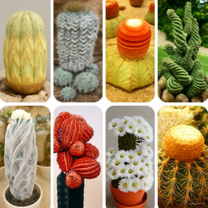 200 Pcs Cactus Bonsai Lithops Flores Living Stones Succulent Organic Garden Bulk Plante Plantas Indoor Seeds