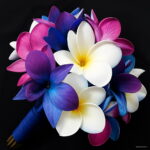 Sales 100 Pcs Plumeria Bonsai Frangipani Hawaiian Lei Flower Exotic Egg Perfect Colors Diy Home Garden Seeds - 3 Sales 100 Pcs Plumeria Bonsai Frangipani Hawaiian Lei Flower Exotic Egg Perfect Colors Diy Home Garden Seeds - 3