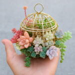 50 Pcs Succulent Rainbow Plants Mini Cacti Bonsai Pseudotruncatella Living Stone Cactus Succulentas Home Garden Seeds - 6 50 Pcs Succulent Rainbow Plants Mini Cacti Bonsai Pseudotruncatella Living Stone Cactus Succulentas Home Garden Seeds - 6