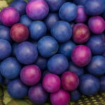 150 Pcs Rainbow Milk Tomato Bonsai Plant Balcony Cherry Sweet Fruits Vegetables Potted Home Garden Succulent Seedsplants - 6 150 Pcs Rainbow Milk Tomato Bonsai Plant Balcony Cherry Sweet Fruits Vegetables Potted Home Garden Succulent Seedsplants - 6