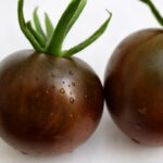 150 Pcs Rainbow Milk Tomato Bonsai Plant Balcony Cherry Sweet Fruits Vegetables Potted Home Garden Succulent Seedsplants - 4 150 Pcs Rainbow Milk Tomato Bonsai Plant Balcony Cherry Sweet Fruits Vegetables Potted Home Garden Succulent Seedsplants - 4