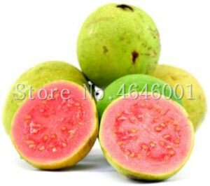 Guava Bonsai Delicious Tropical Fruits Plant Non Plants The Budding Rate 90% Home Garden Fruit 100 Pcs Seeds - 2