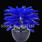 50pcs Japan Colorful Cycas Indoor Drawf Bonsai Potted Outdoor Sago Palm Tree Flower Plant Home Garden Pot Decor To Seeds - 2