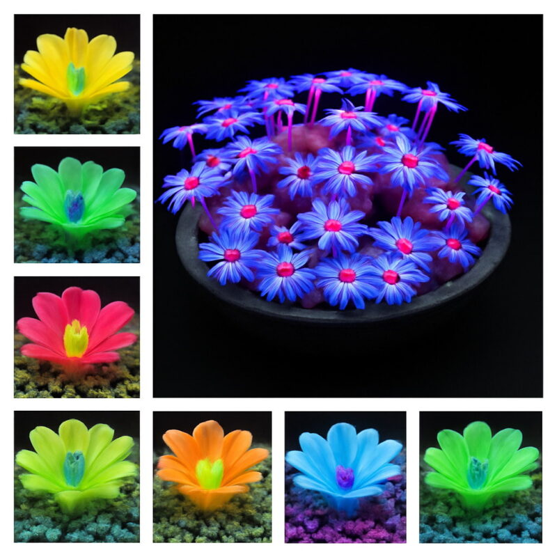 120 Pcs Lithops Mixed Succulents Raw Stone Cactus Bonsai Plants Stapelia Pulchella Home Garden Flower Seeds