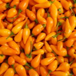 100 Pcs Cherry Pepper Bonsai Colorful Mix Sweet Bell Vegetables Paprika Home Garden Plants Seeds - 6