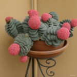 Succulent Bonsai Echeveria Succulents Lithops Cactus Organic Ass Flower Indoor Balcony Plant Home 100 Pcs Seeds - 6 Succulent Bonsai Echeveria Succulents Lithops Cactus Organic Ass Flower Indoor Balcony Plant Home 100 Pcs Seeds - 6