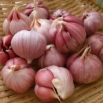 200 Pcs Multi-petals Garlic Bonsai Red And Healthy Plant Onion Garlics Vegetable Kitchen Seasoning Food Seeds - 4