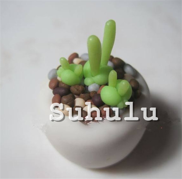 200pcs Rabbit Succulents Lithops Pseudotruncatella Office Desk Air Purifier Indoor Environment Enhancement Seeds - 3