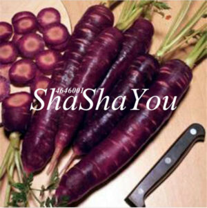 200 Pcs Carrot Bonsai Fruit Vegetable Plants Outdoor Potted Plant Sweet And Healthy Home Garden To Seeds - 2
