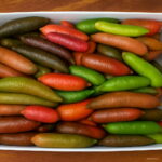 50 Pcs Ice Pink Finger Lime Plants Pomegranate Organic Fruit Tree Bonsai Balcony Home Garden Seeds - 2 50 Pcs Ice Pink Finger Lime Plants Pomegranate Organic Fruit Tree Bonsai Balcony Home Garden Seeds - 2