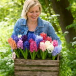 200 Pcs Bonsai Hyacinth Perennial Potted Plant Indoor In Pots Flower Home Garden Seeds - 4 200 Pcs Bonsai Hyacinth Perennial Potted Plant Indoor In Pots Flower Home Garden Seeds - 4