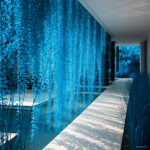 200 Pcs Blue Pearl Chlorophytum Bonsai Office Desktop Flowers Succulents Anti-radiation Computer Potted Plants Purify Air Seeds - 5 200 Pcs Blue Pearl Chlorophytum Bonsai Office Desktop Flowers Succulents Anti-radiation Computer Potted Plants Purify Air Seeds - 5