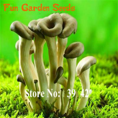 100 Pcs Hot Bell Pepper Seeds Mixed Yellow Red Diy Paprika Chili Vegetable Cultivation - 14