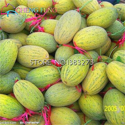 Tropical Watermelon Seeds 20pcs Sweet Juicy Easygrow Delicious Fruit For Outdoor Cultivation - 21