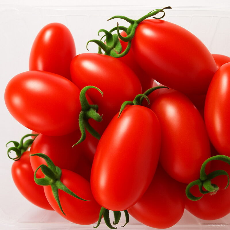 20pcs Yellow Tomato Seedsplant Bonsai Tree Outdoor Red Seeding Organic Fruit Vegetables Garden Succulent Plants