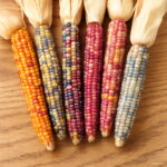 20pcs Sweet Rainbow Colorful Corn Bonsai Grain High-quality Vegetables Plants Home Garden To Seeds - 3 20pcs Sweet Rainbow Colorful Corn Bonsai Grain High-quality Vegetables Plants Home Garden To Seeds - 3
