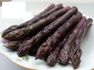 Imported Us Purple Passion Asparagus Seeds 200 Pcs Perennial Vegetable Japanese Variety - 15