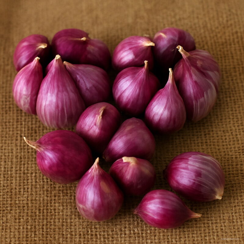 100 Pcs Giant Garlic Bonsai Organic Plants Onion Vegetable Kitchen Seasoning Garden Seeds