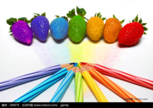 100 Seeds Pack Rainbow Strawberry Fruit Multi-color Strawberries Flower Seed Garden Pots & Planters - 2