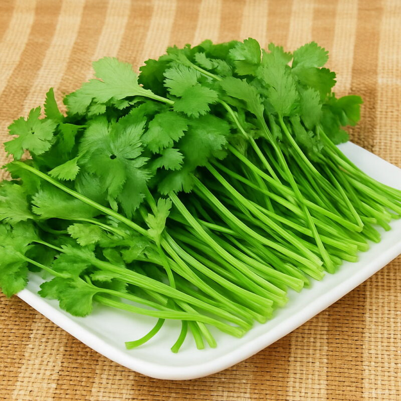 Resistant To Big Leaf Coriander Seeds Vegetable 50
