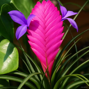 Hot 100pcs Tillandsia Seeds Succulent Pineapple Mini Air Purifier Bonsai Decoration Home Garden - 2