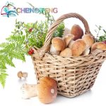 100pcs Mushroom Seeds Garden Succlent Plant Amazing Health Vegetable Food Interest In Happy Farm - 4