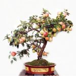 Product Bonsai Apple Tree Plants 30 Pcs Used Wet Sand Sprouting Fruit Garden In Flower Pots Planters Seeds - 2
