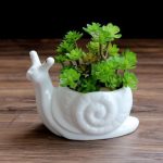 Yefine Cartoon Animal Bonsai Pots Garden Plants White Ceramic Cute Snail Shape Flower Porcelain Office Desktop Decoration Seeds - 2