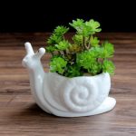 Yefine Cartoon Animal Bonsai Pots Garden Plants White Ceramic Cute Snail Shape Flower Porcelain Office Desktop Decoration Seeds - 2