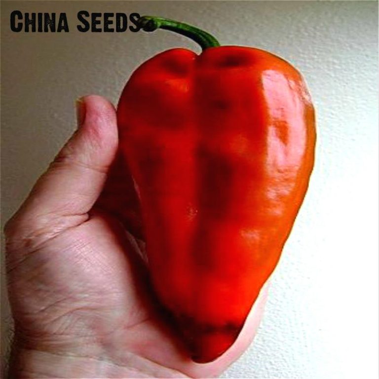 Peter Pepper Red Chili Vegetable Seeds 100pack Free Shipping Worldwide