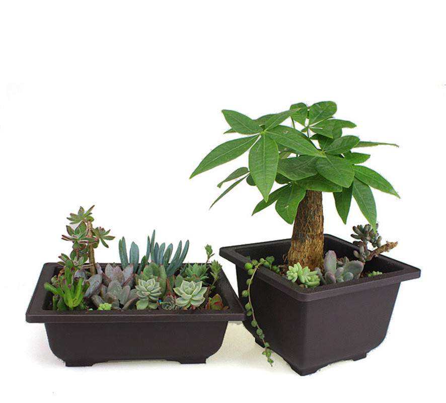 Indoor Decorative Square Bowl Imitation Plastic Seed Nursery Basin Rectangle Balcony Flower Pot Planter - 1