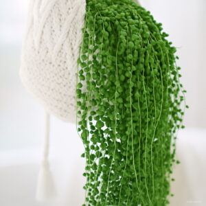 Hanging Pearl Chlorophytum Bonsai Type Potted Of Flower Plants Indoor Air Purification Home Garden Succulent 100pcs Seeds - 2