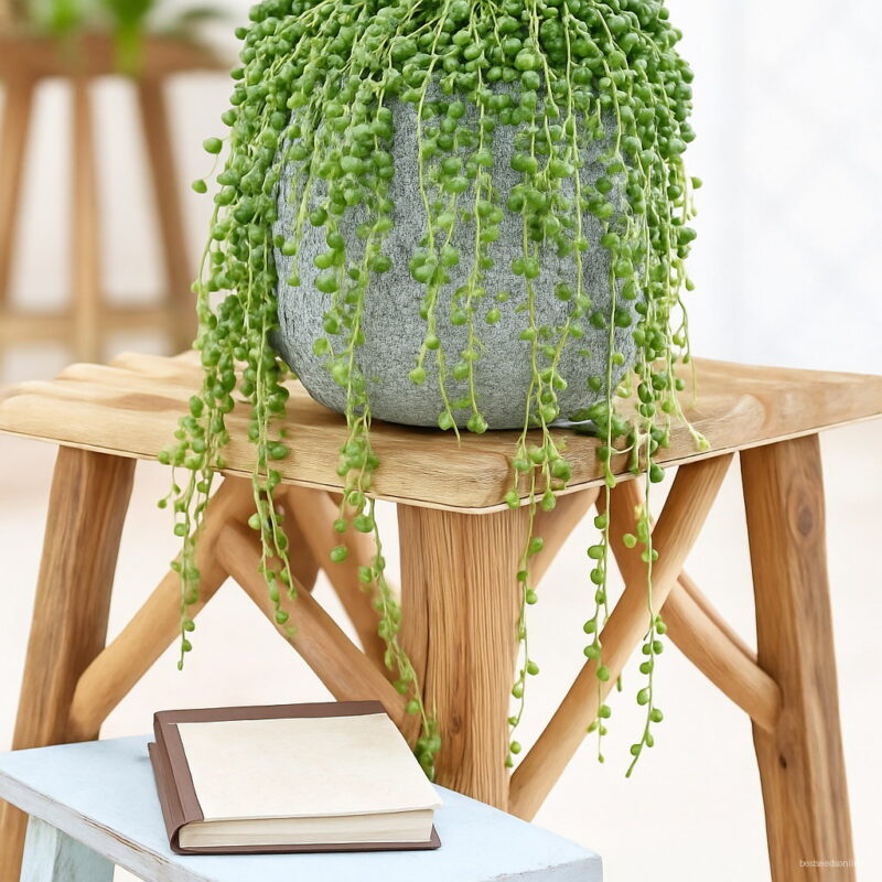 Hanging Pearl Chlorophytum Bonsai Type Potted Of Flower Plants Indoor Air Purification Home Garden Succulent 100pcs Seeds