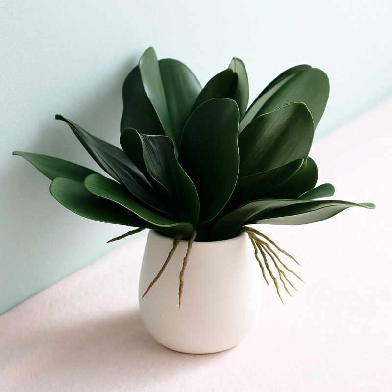 Real Touch Phalaenopsis Leaf Artificial Plant Decorative Flowers Auxiliary Material Flower Decoration Orchid Leaves Seeds