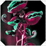 Home Garden 100pcs Plants Venus Fly Trap Dionaea Muscipula Carnivorous Plant Diy Semente Seeds - 5